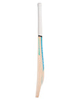 Pulse - Kashmir Willow - Newbery Cricket