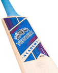 The Academy - Newbery Cricket