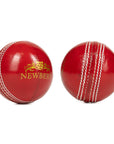 Pulse Hard Ball Starter Bundle - Partner Club - Newbery Cricket