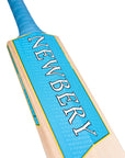Pulse - Newbery Cricket