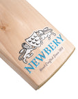 Pulse - Newbery Cricket