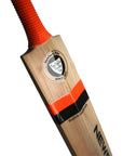 The Master 100 - Newbery Cricket