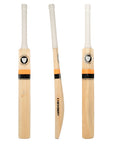 Training bat