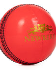 Sussex Junior Clubs - Match & Training Balls (Box of 6)