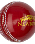 Sussex Junior Clubs - Match & Training Balls (Box of 6)