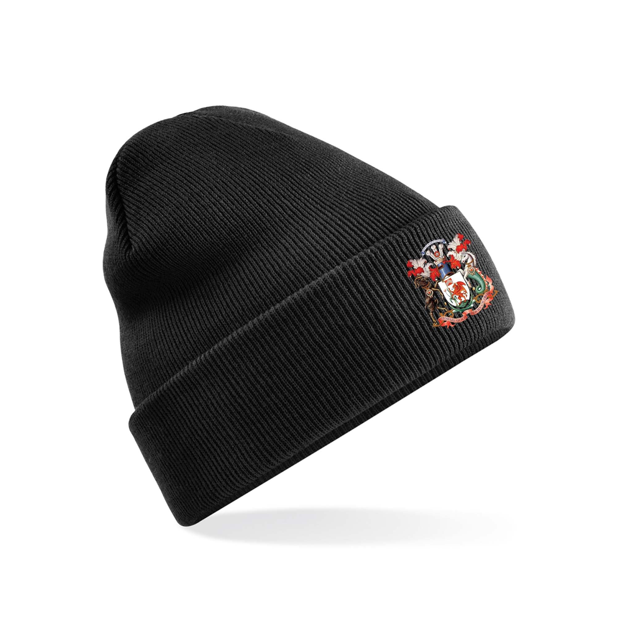 Cardiff CC - Beanie - Newbery Cricket