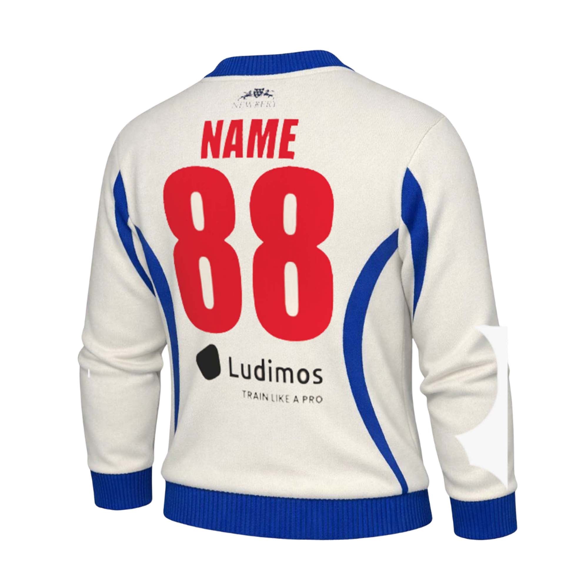 T20CC - Ivory Long Sleeve Playing Sweater - CUSTOM - Newbery Cricket