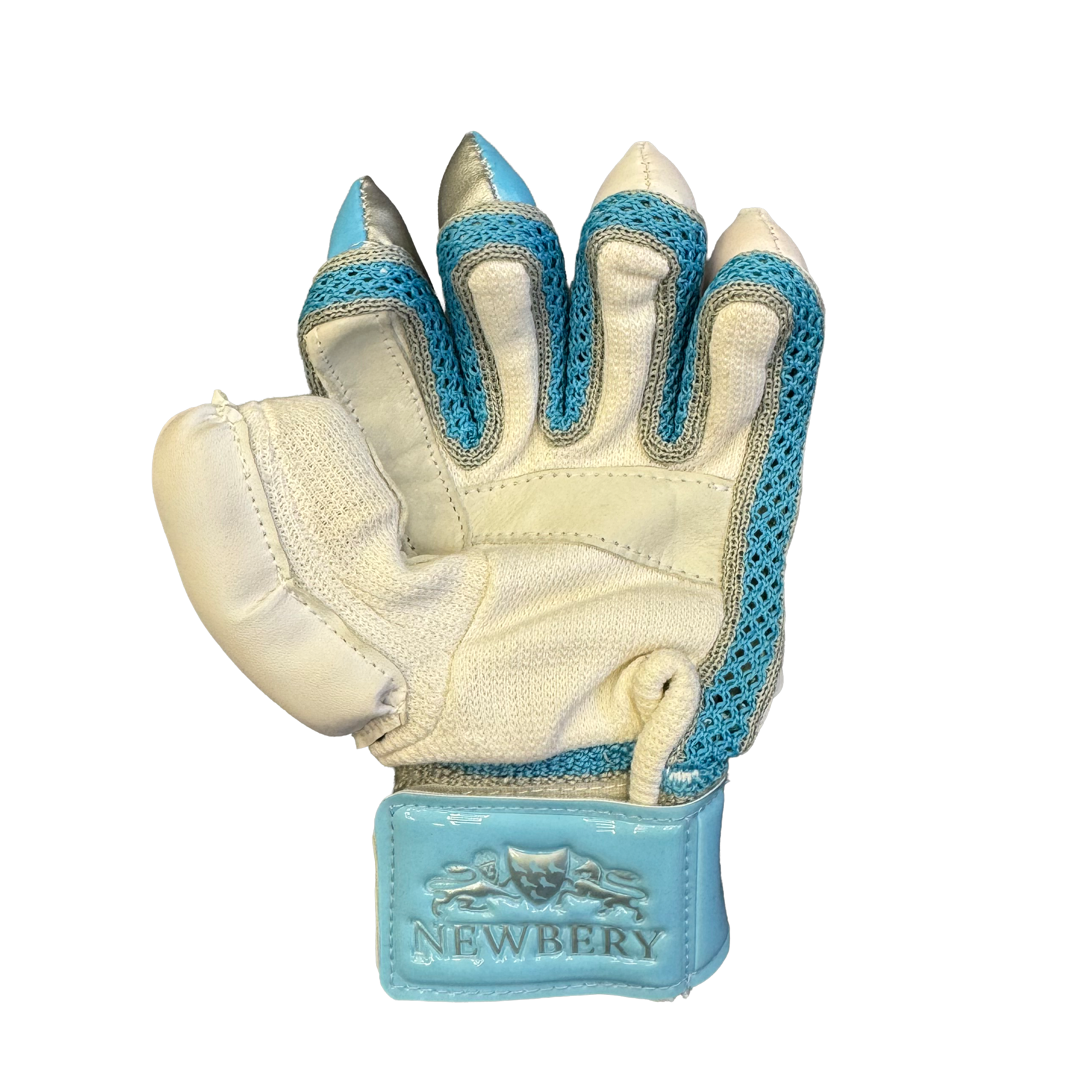 Infinity Cricket Batting Gloves