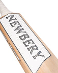 SPS - Newbery Cricket
