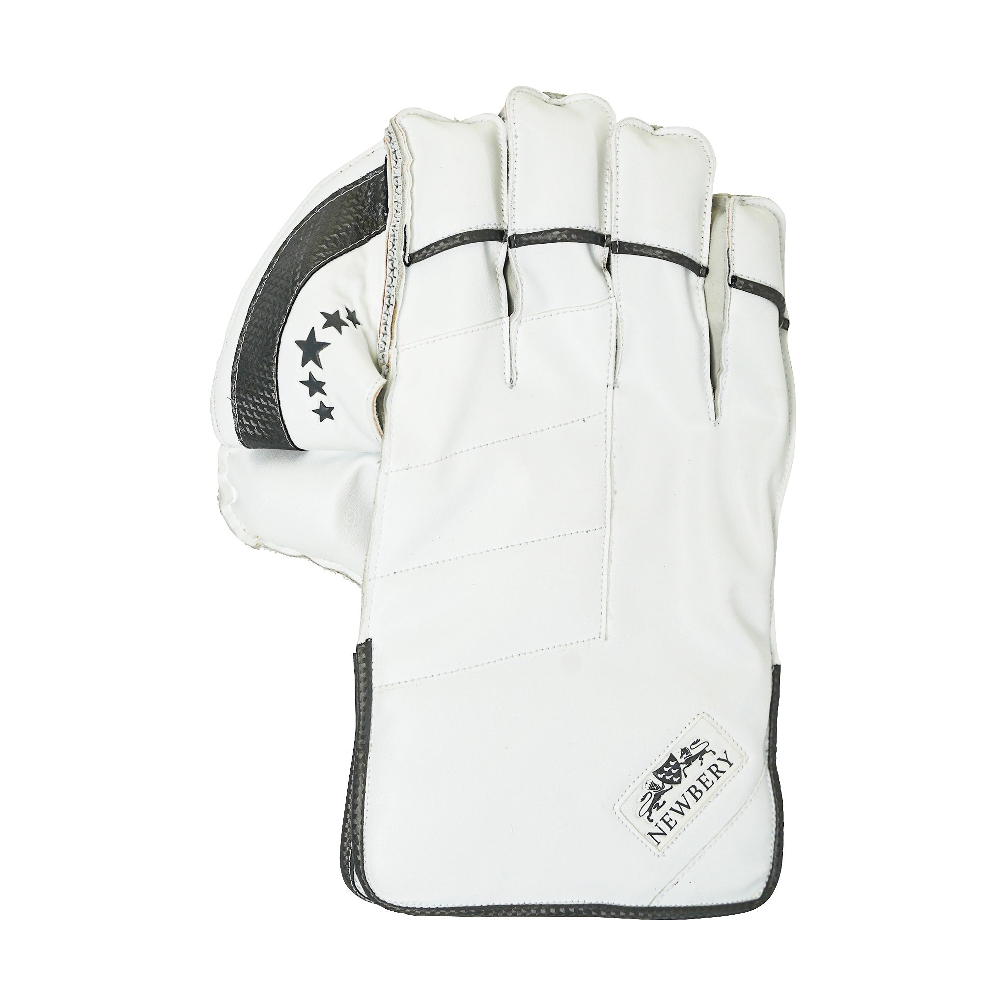 Newbery 5 Wicket keeping Gloves Newbery Cricket