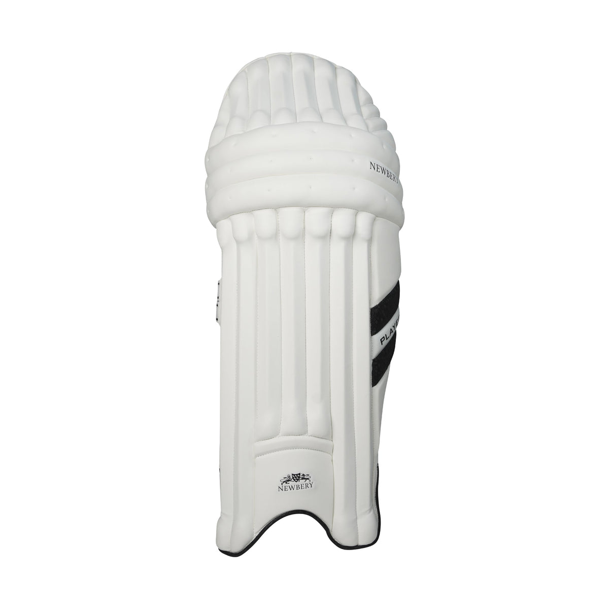 Bat Pad Player Cricket Batting Pads | Newbery Cricket