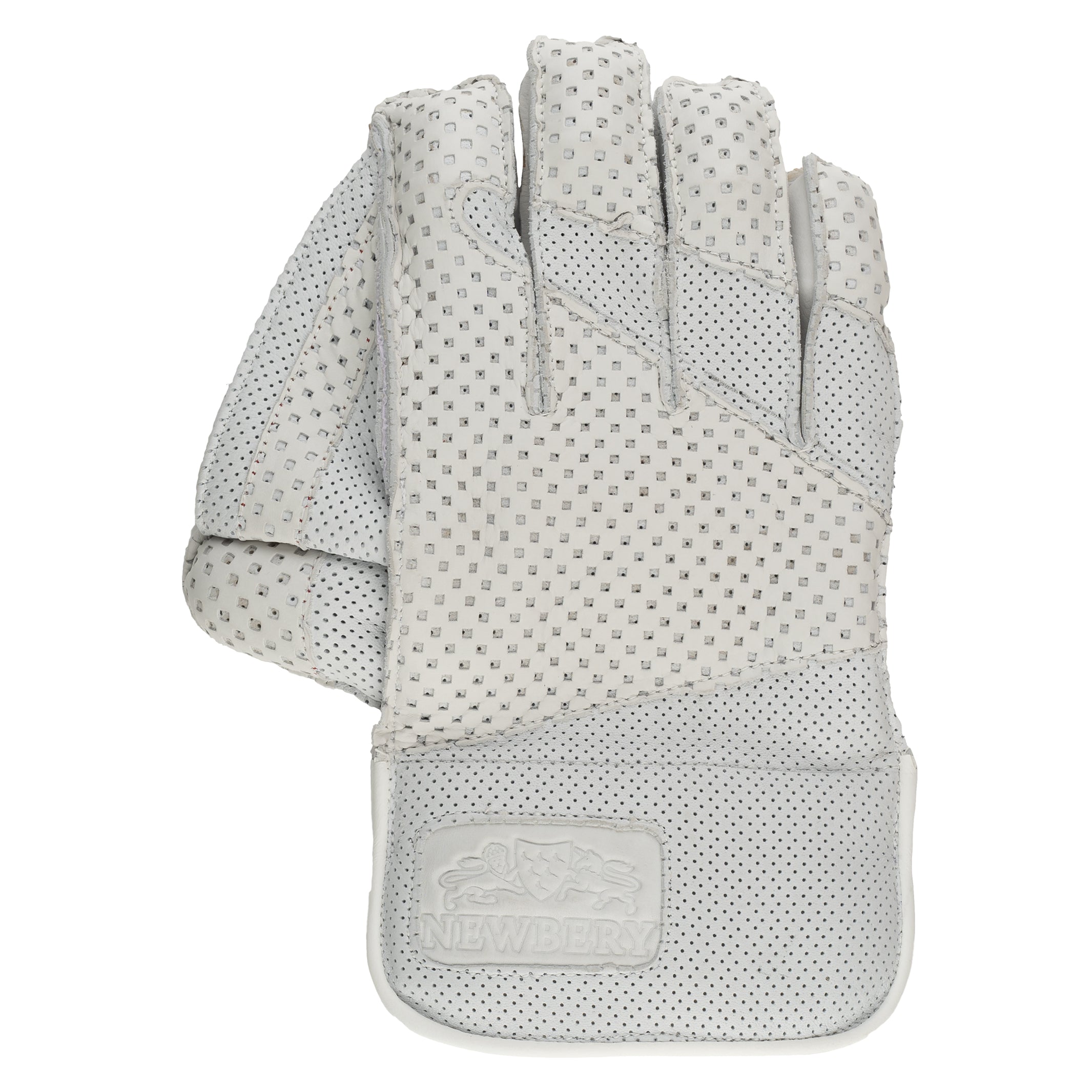 SPS Wicket Keeping Gloves Newbery Cricket